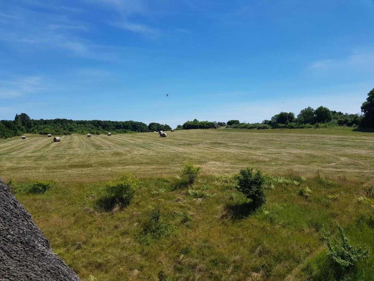 Fewo 18 Im Strandhaus Lobbe Mit Balkon 外观 照片
